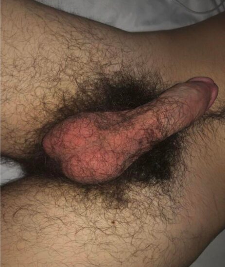 463px x 550px - Hairy soft cock pictures from guys with bushy dicks